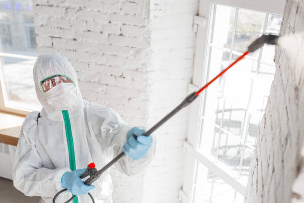 Mold Removal for HVAC Installations in Aberdeen, ID